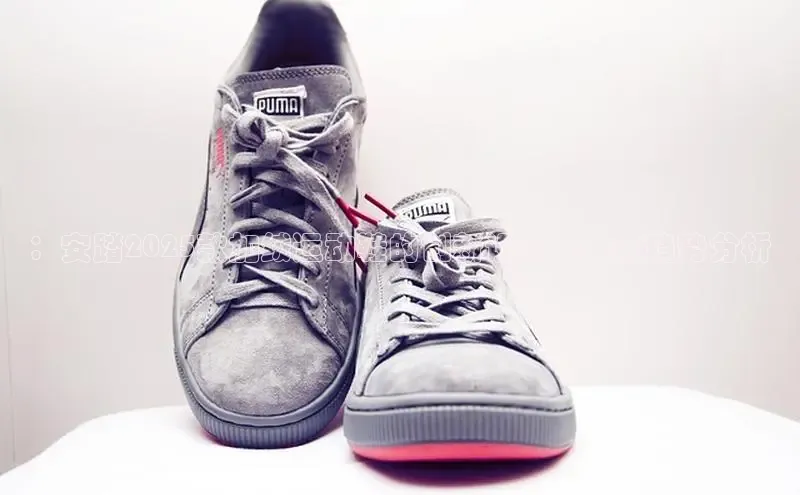 XCSport网页版入口