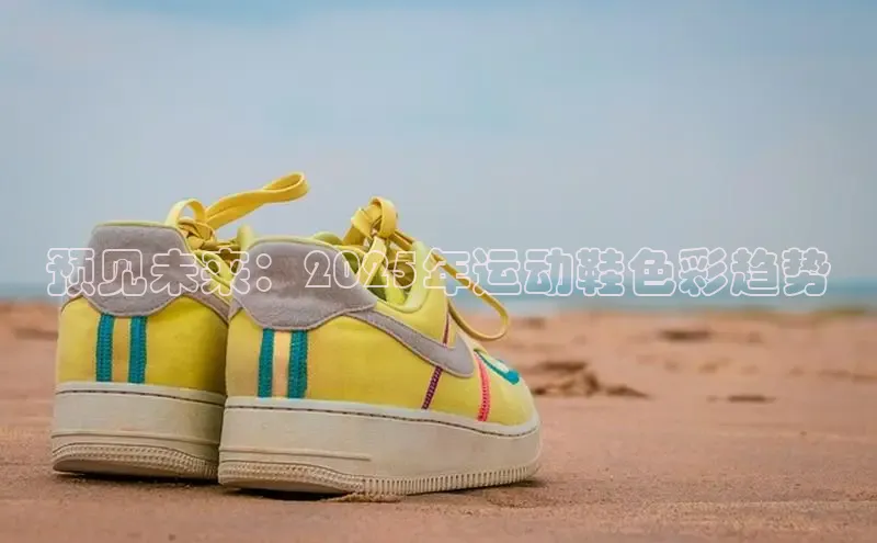 XCSport下载