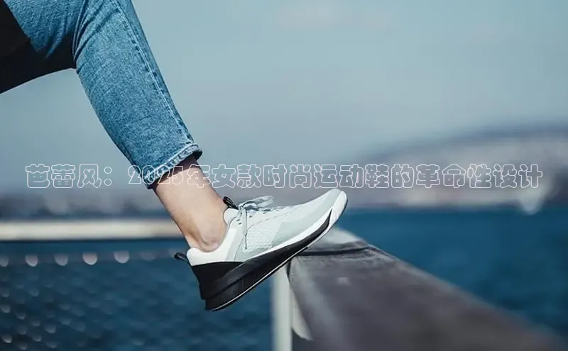 xc体育